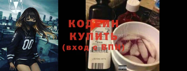 хмурый Алзамай
