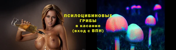 прущий лед Алексин