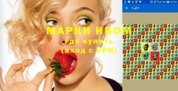 хмурый Алзамай