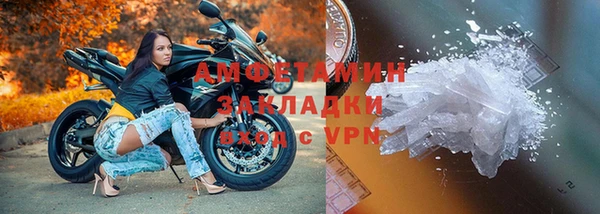 мдпв Инсар