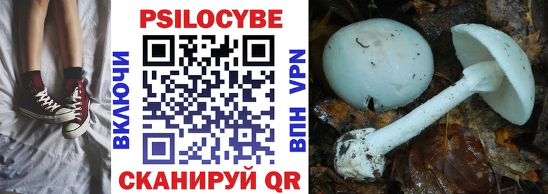 Псилоцибиновые грибы Cubensis Калтан